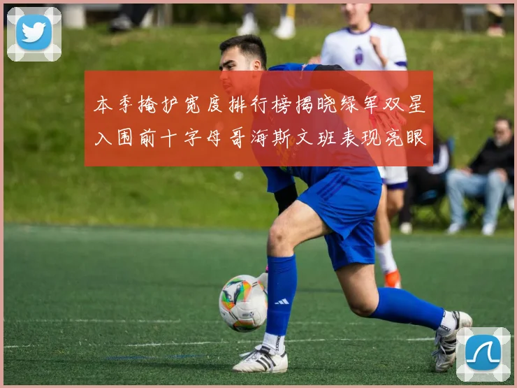 本季掩护宽度排行榜揭晓绿军双星入围前十字母哥海斯文班表现亮眼
