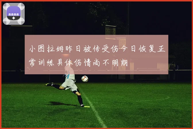 小图拉姆昨日被传受伤今日恢复正常训练具体伤情尚不明朗