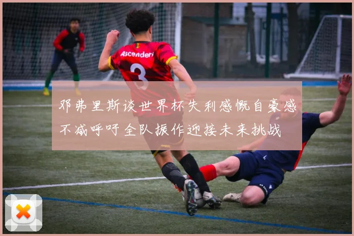 邓弗里斯谈世界杯失利感慨自豪感不减呼吁全队振作迎接未来挑战